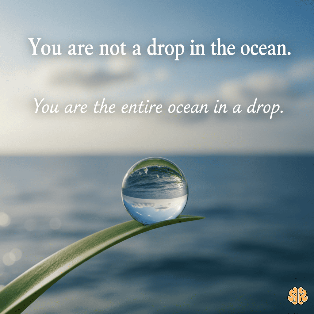 You are not a drop in the ocean. You are the entire ocean in a drop.